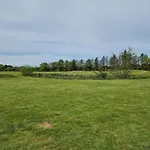 12 Person In Pandrup-by Traum